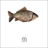 魚