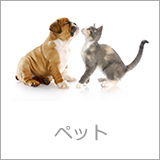 ペット
