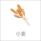 小麦
